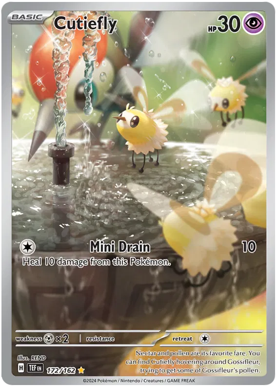 Cutiefly 172/162