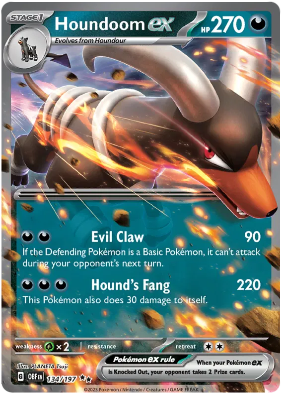 Houndoom EX 134/197