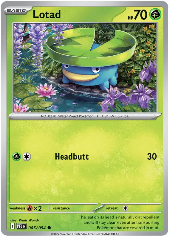 Lotad 005/094