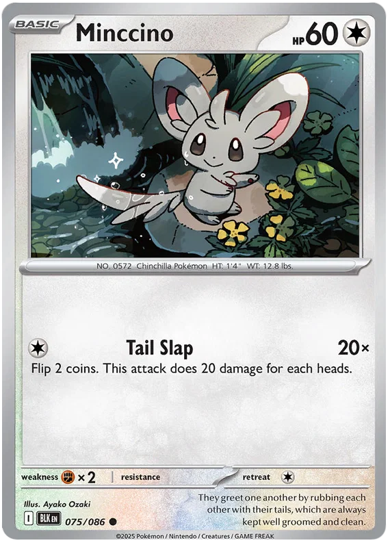 Minccino 075/086