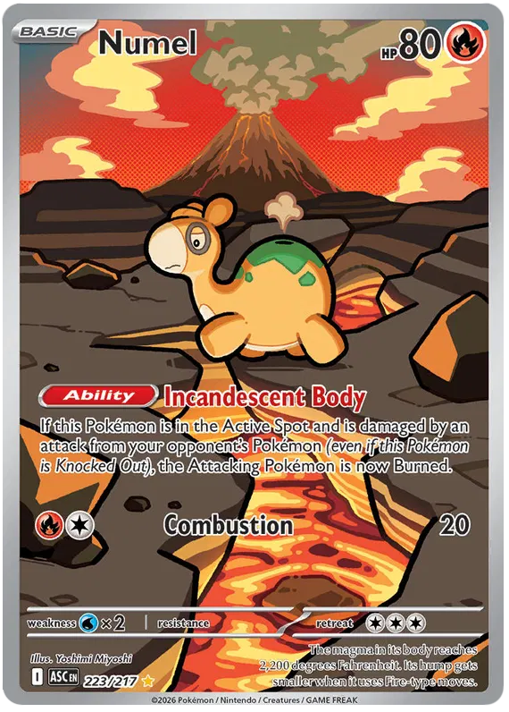 Numel 223/217