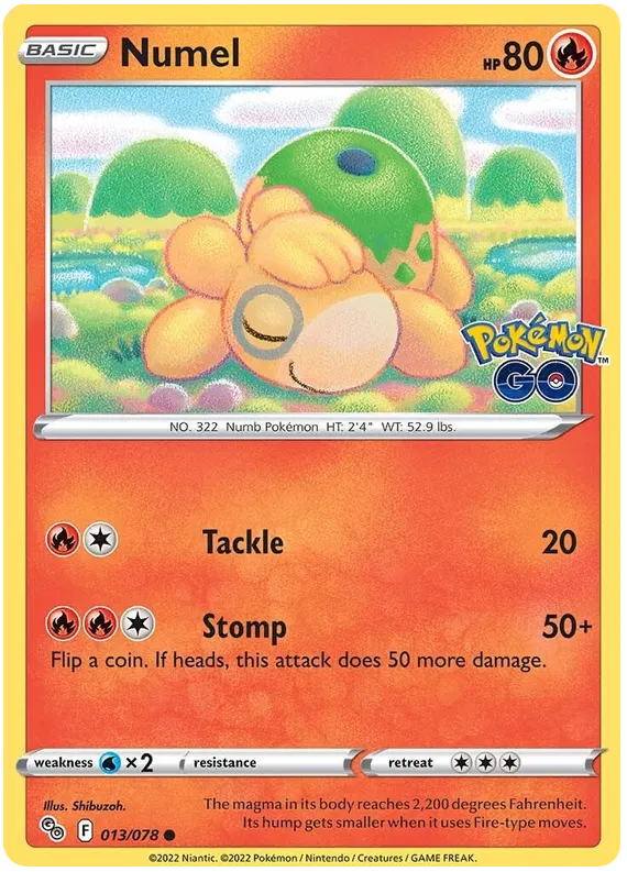 Numel 13/78