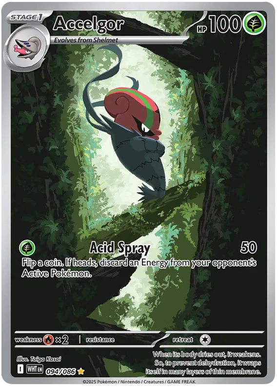 Accelgor 094/086