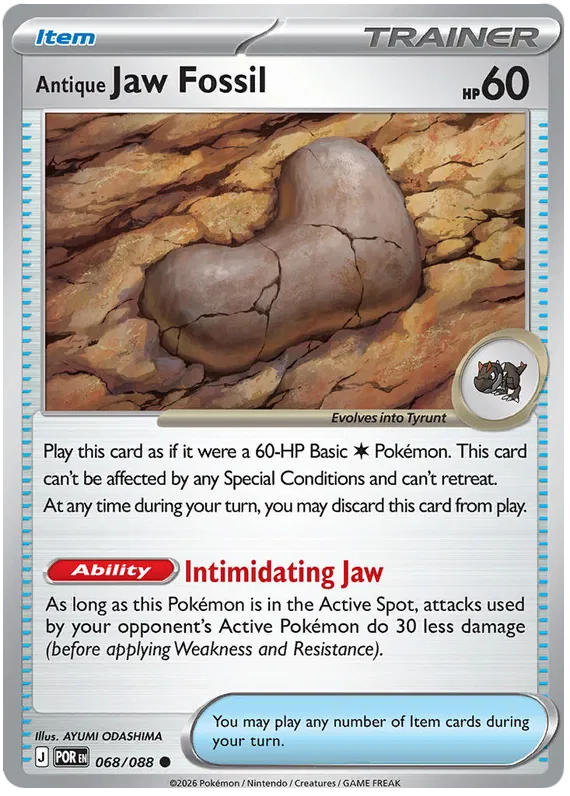 Antique Jaw Fossil 068/088