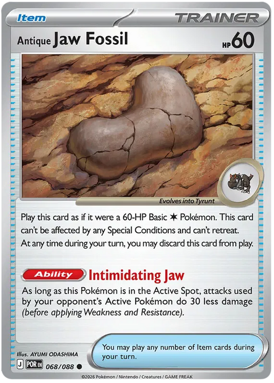 Antique Jaw Fossil 068/088