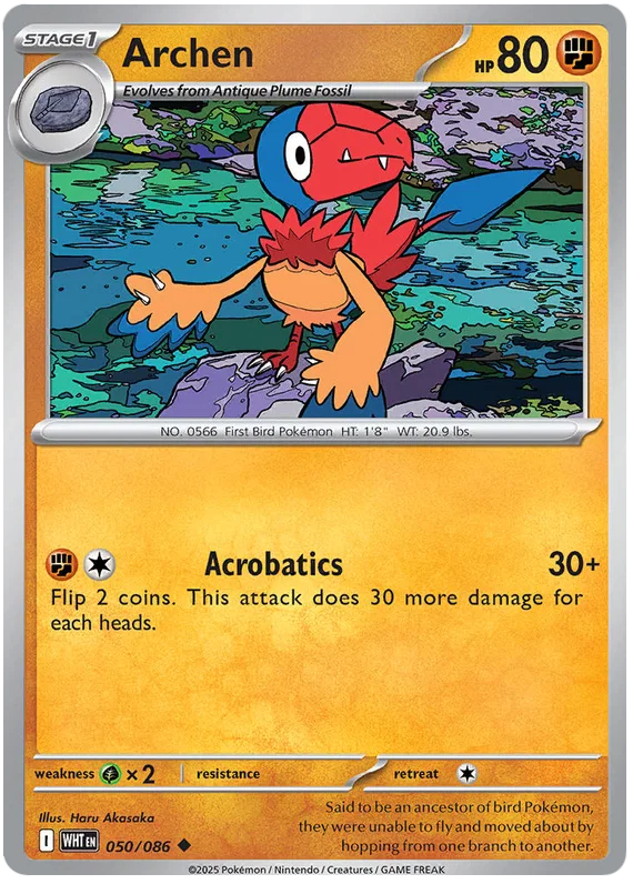 Archen 050/086