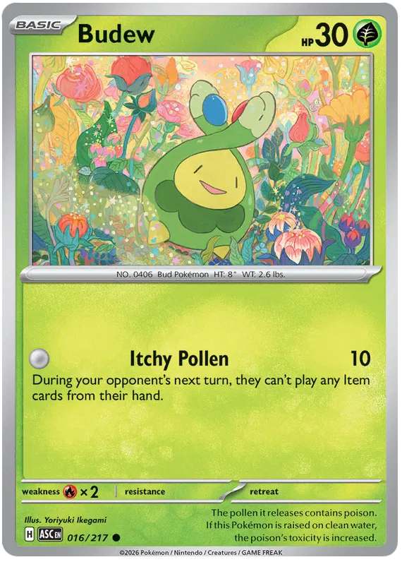 Budew 016/217