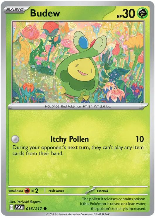 Budew 016/217