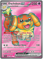 Dachsbun EX 160/142