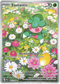 Fomantis 085/084