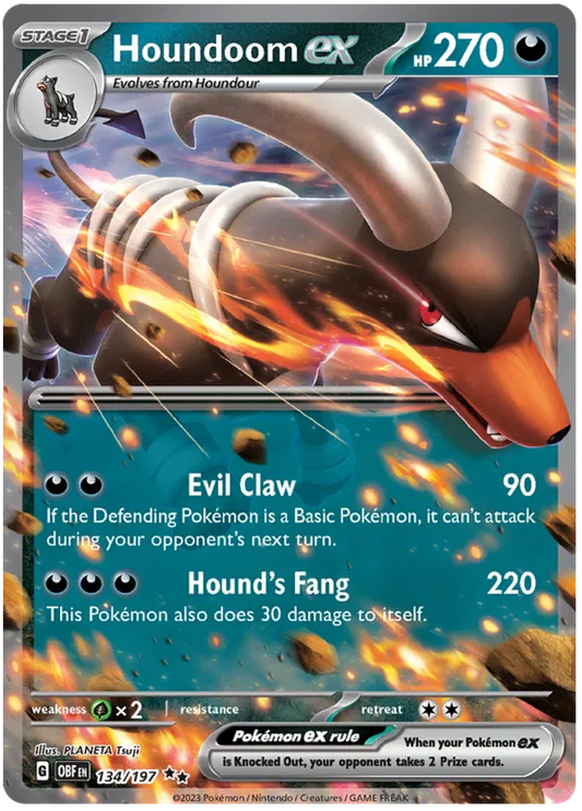 Houndoom EX 134/197
