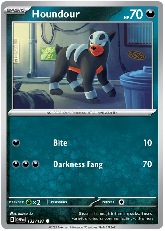 Houndour 132/197