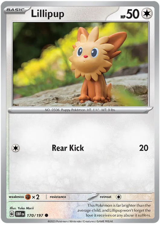 Lillipup 170/197
