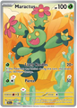 Maractus 093/086