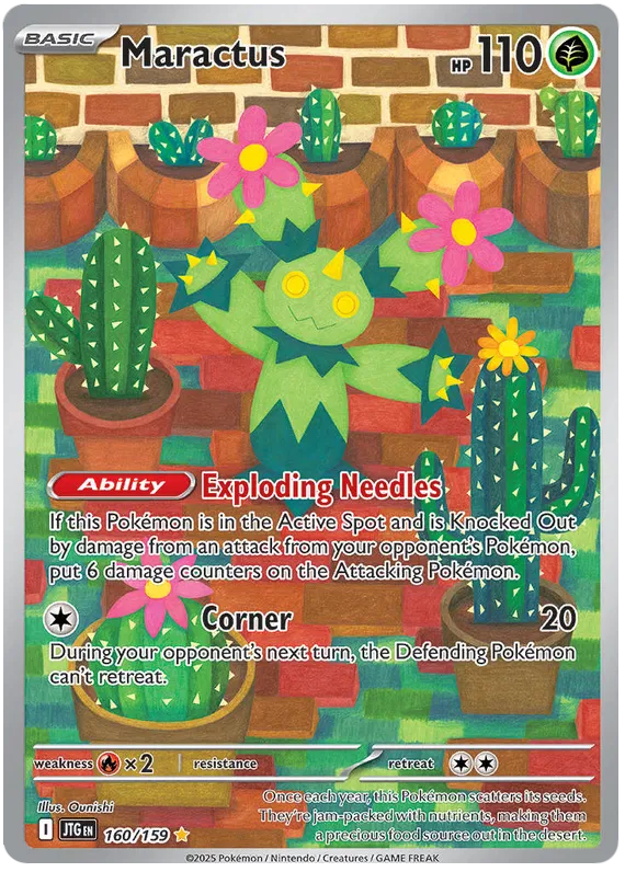 Maractus 160/159