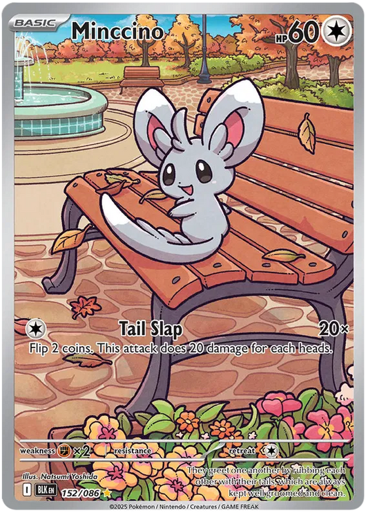 Minccino 152/086