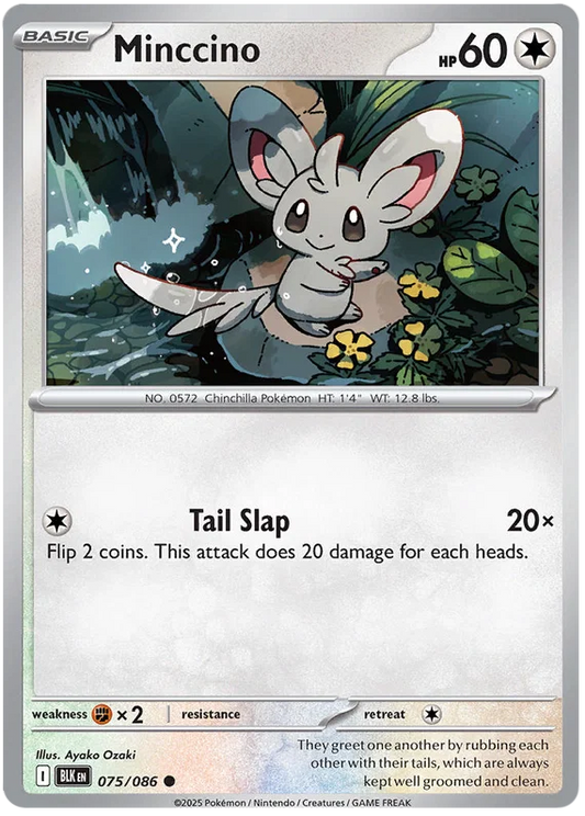 Minccino 075/086