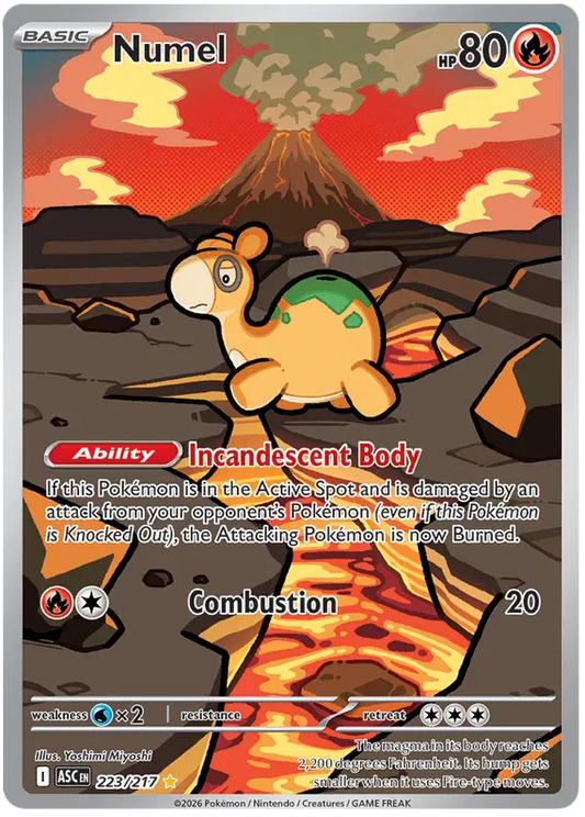 Numel 223/217