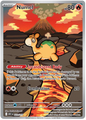 Numel 223/217