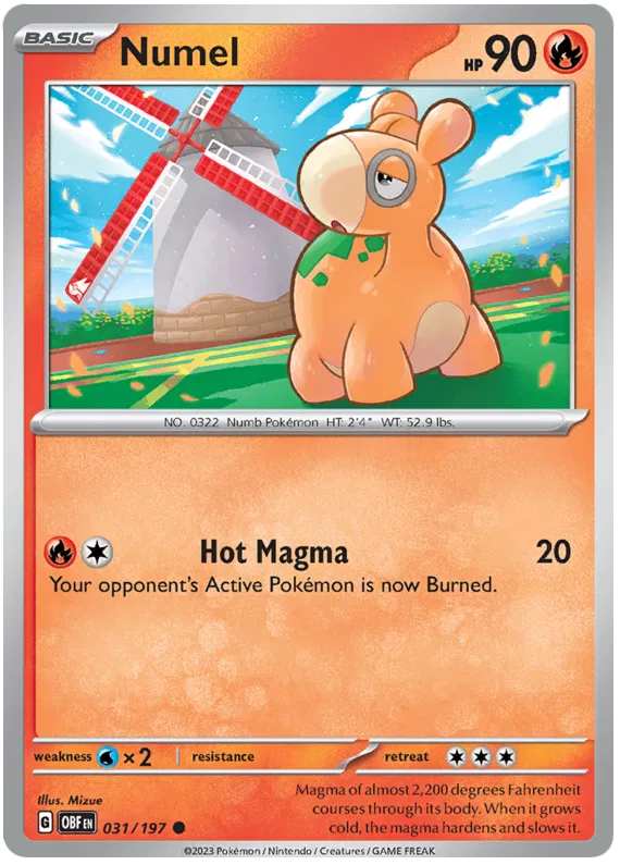 Numel 031/197