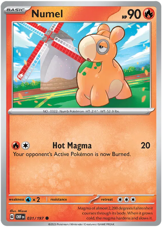 Numel 031/197