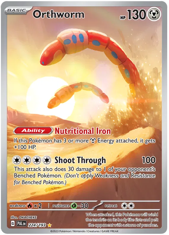 Orthworm 224/193
