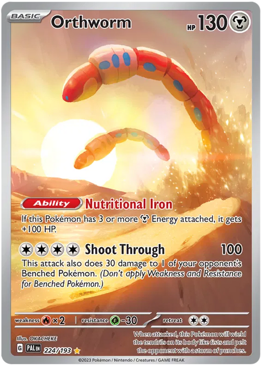 Orthworm 224/193