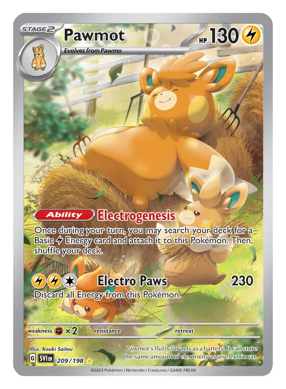 Pawmot 209/198