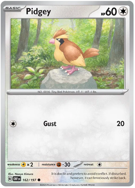 Pidgey 162/197