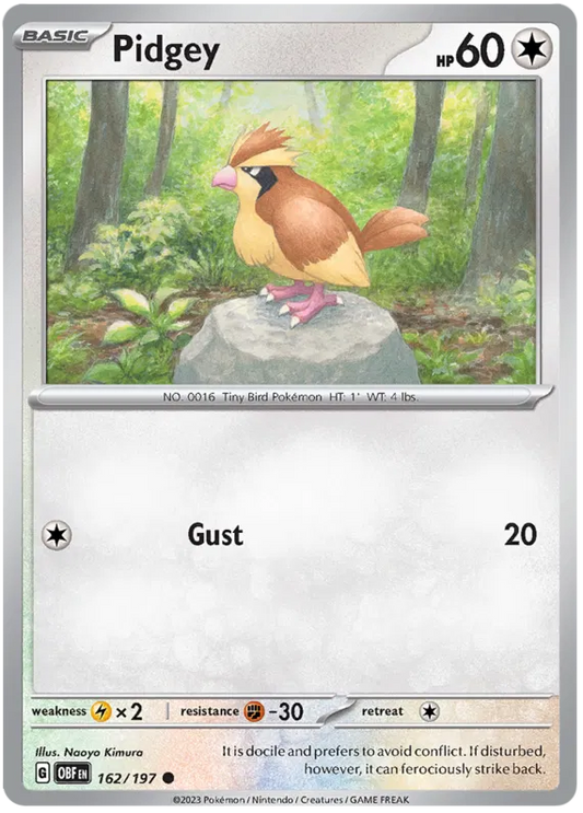 Pidgey 162/197