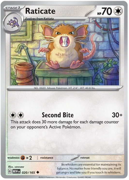 Raticate 020/165
