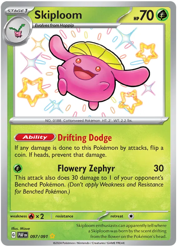 Skiploom 097/091