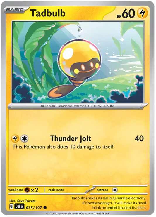Tadbulb 075/197