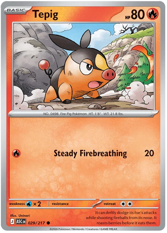Tepig 029/217