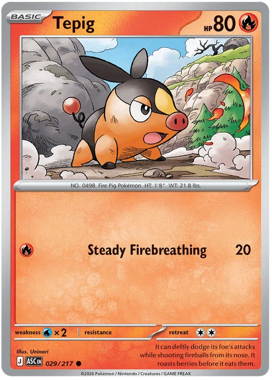 Tepig 029/217
